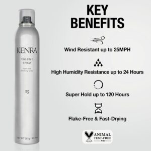 Kenra Volume spray 25